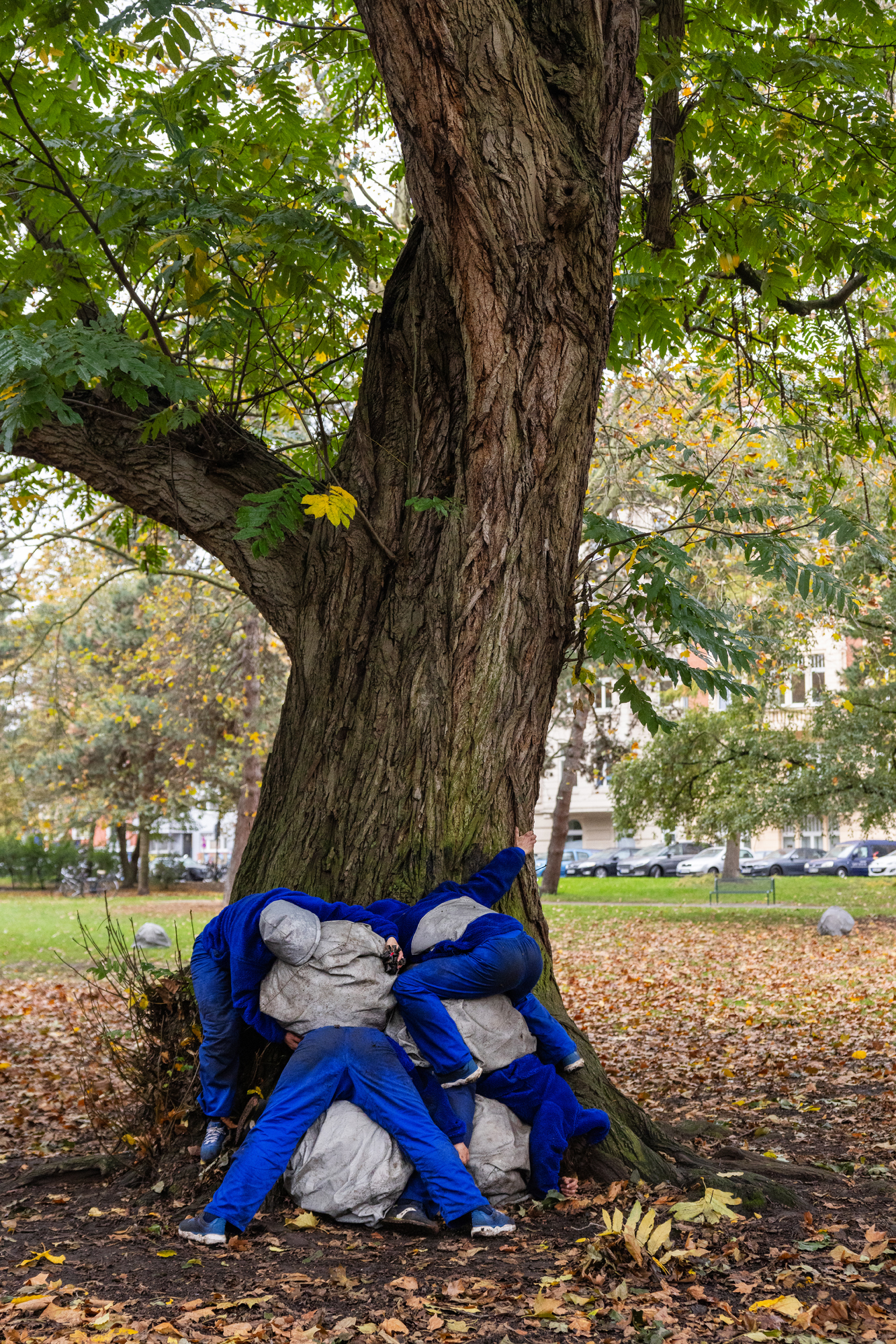 CONCRETE SOFTNESS | Köln