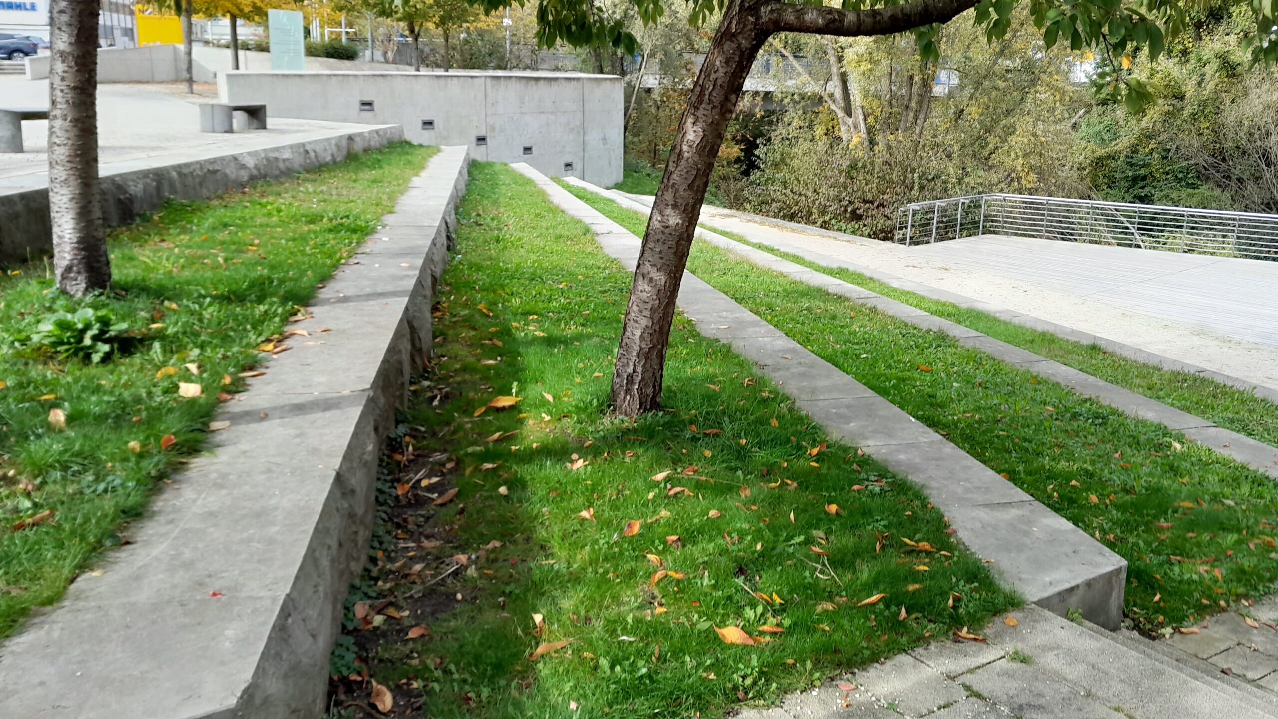 Tanz-Land-Fluss | Scouting