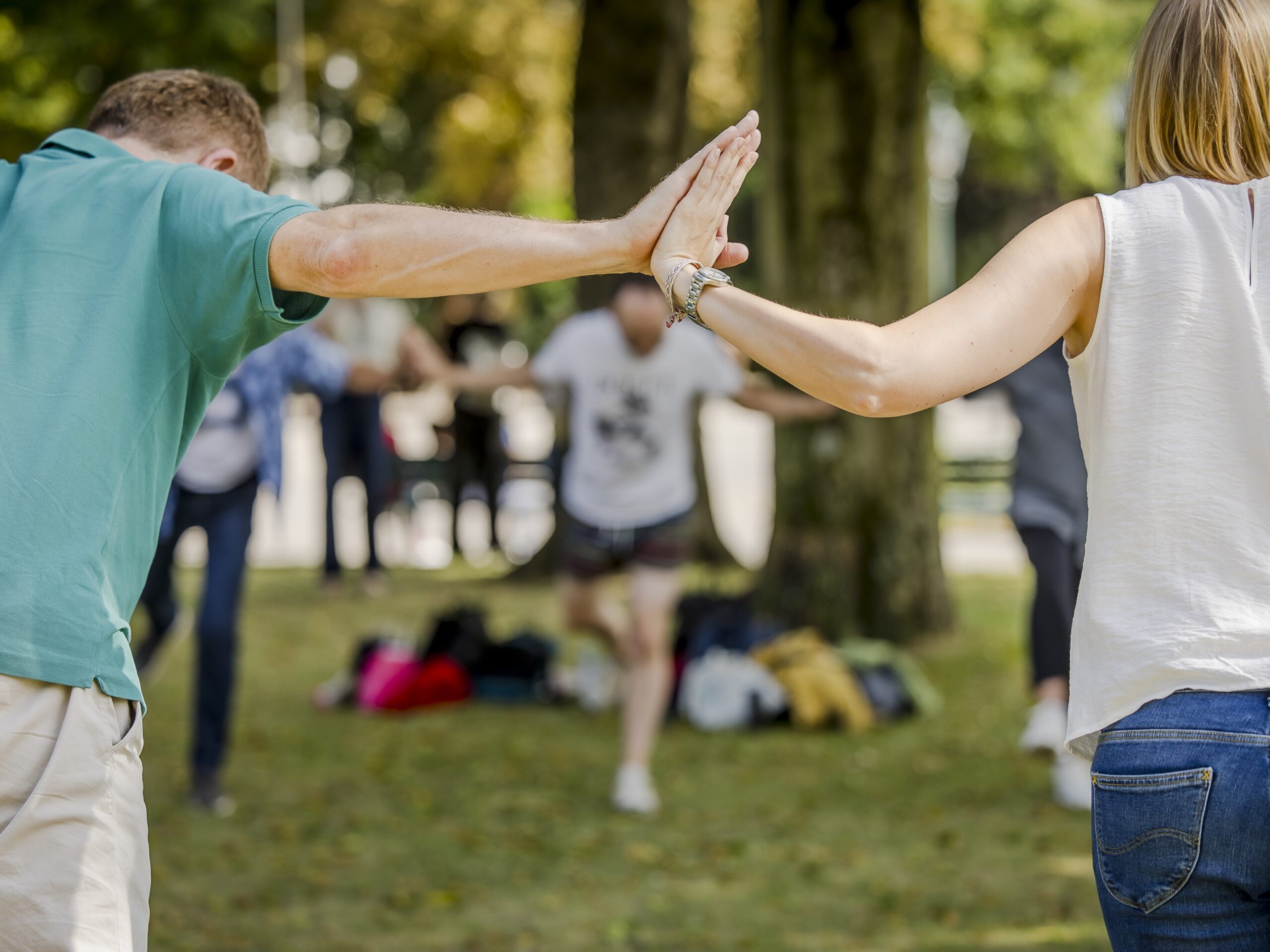 TANZ LAND FLUSS - make a move collective - 2026-02-22 15.31.36